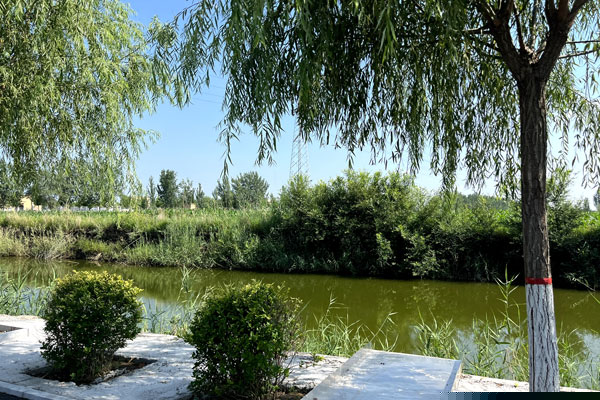 天津墓地不续费的话骨灰会被扔掉吗？