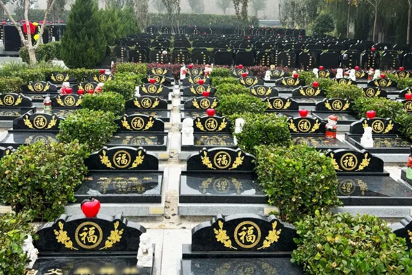树葬作为一种生态葬法，在天津公墓有哪些独特的优势或特点？