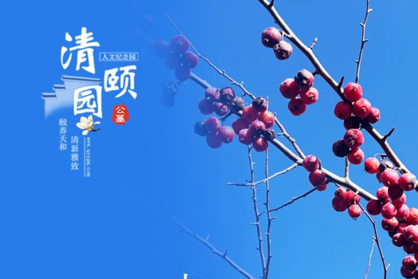 天津清颐园人文纪念园十一月份月度服务报告