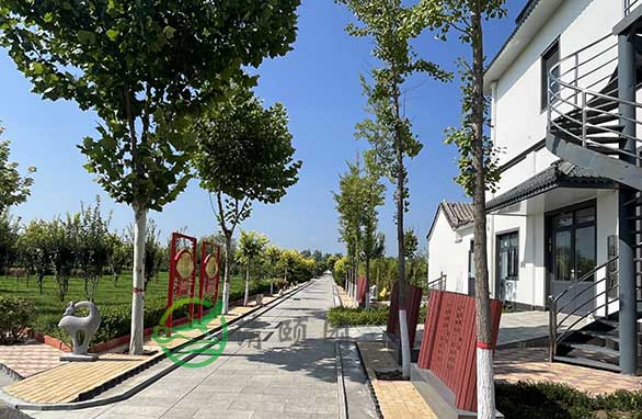 天津清颐园墓园，价格比实惠之选