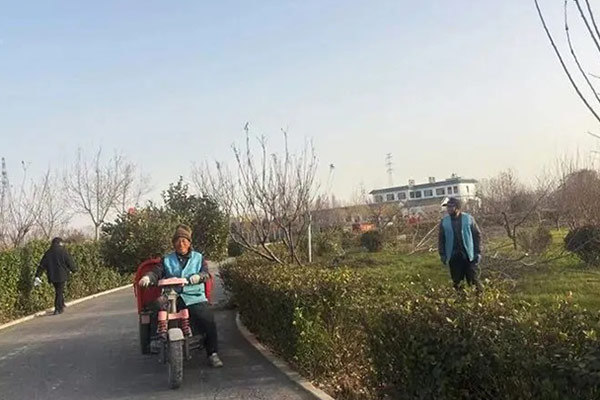 天津清颐园人文纪念园十二月份月度服务报告