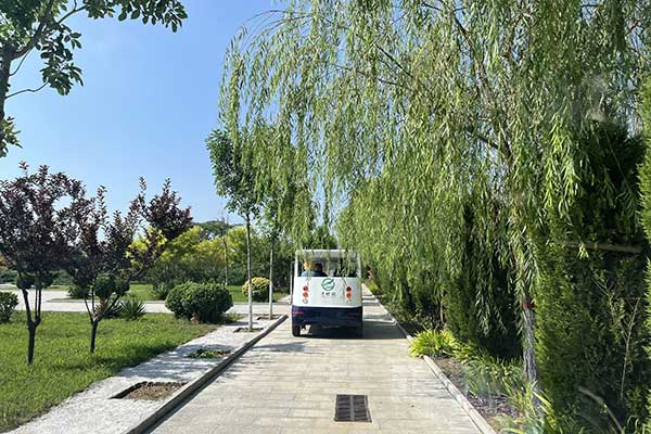 清颐园粽香飘，传承端午情，共赏生命之美