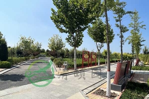 天津经济型墓地推荐列表