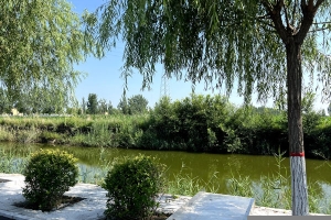 天津墓地不续费的话骨灰会被扔掉吗？
