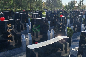 在选择天津墓地时如何平衡价格与质量，找到性价比高的墓地？