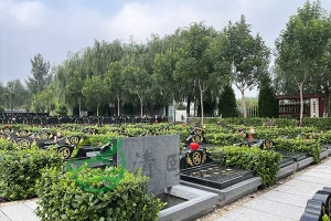 天津优质公墓性价比分析，清颐园公墓