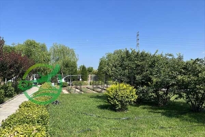 天津公墓价格查询，墓地排名及费用详情，静守时光的温情