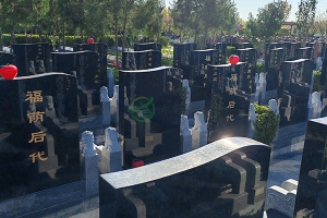 多样选择 · 精工打造—天津清颐园墓园墓型介绍