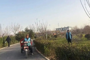 天津清颐园人文纪念园十二月份月度服务报告