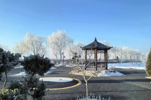 天津清颐园人文纪念园一月份月度服务报告