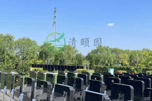 天津清颐园公墓，生死轮回的印记，心中永恒的纪念